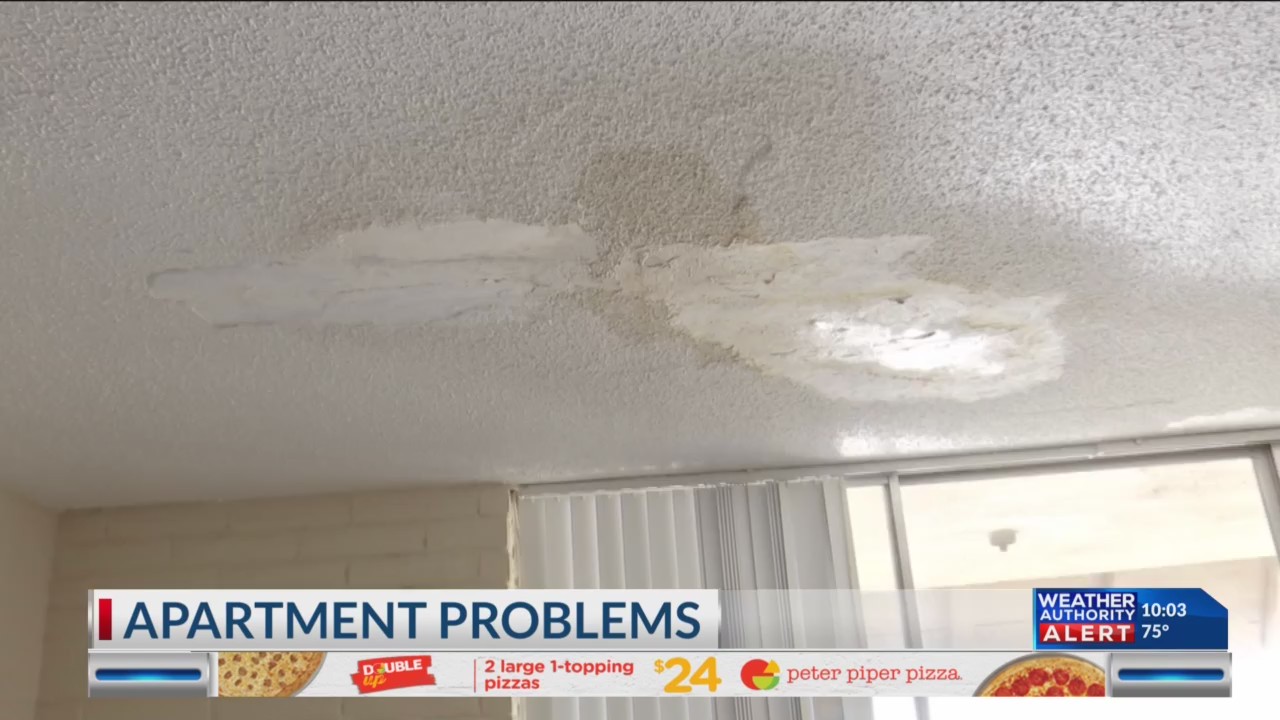 Northeast apartment tenant struggles with leaking roof, clogged sink