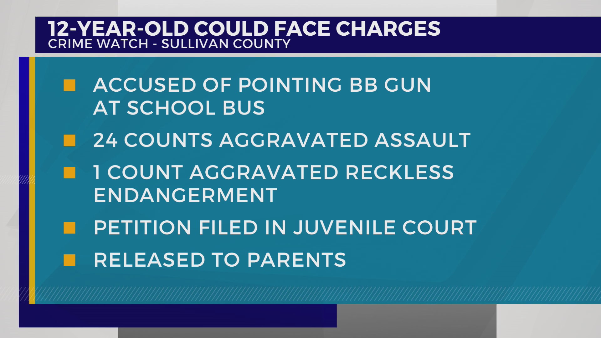 SCSO: 12-year-old student pointed BB gun at school bus after fight ...