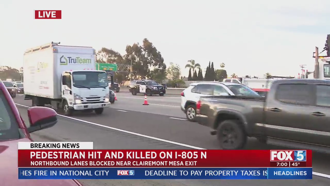 Pedestrian Hit and Killed on I-805 N – FOX 5 San Diego & KUSI News