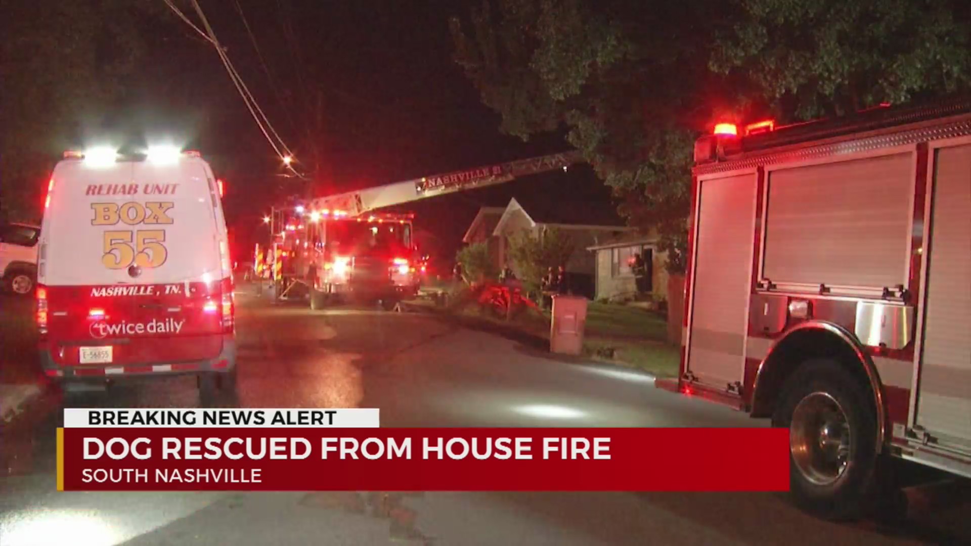 Dog saved in South Nashville house fire – WKRN News 2