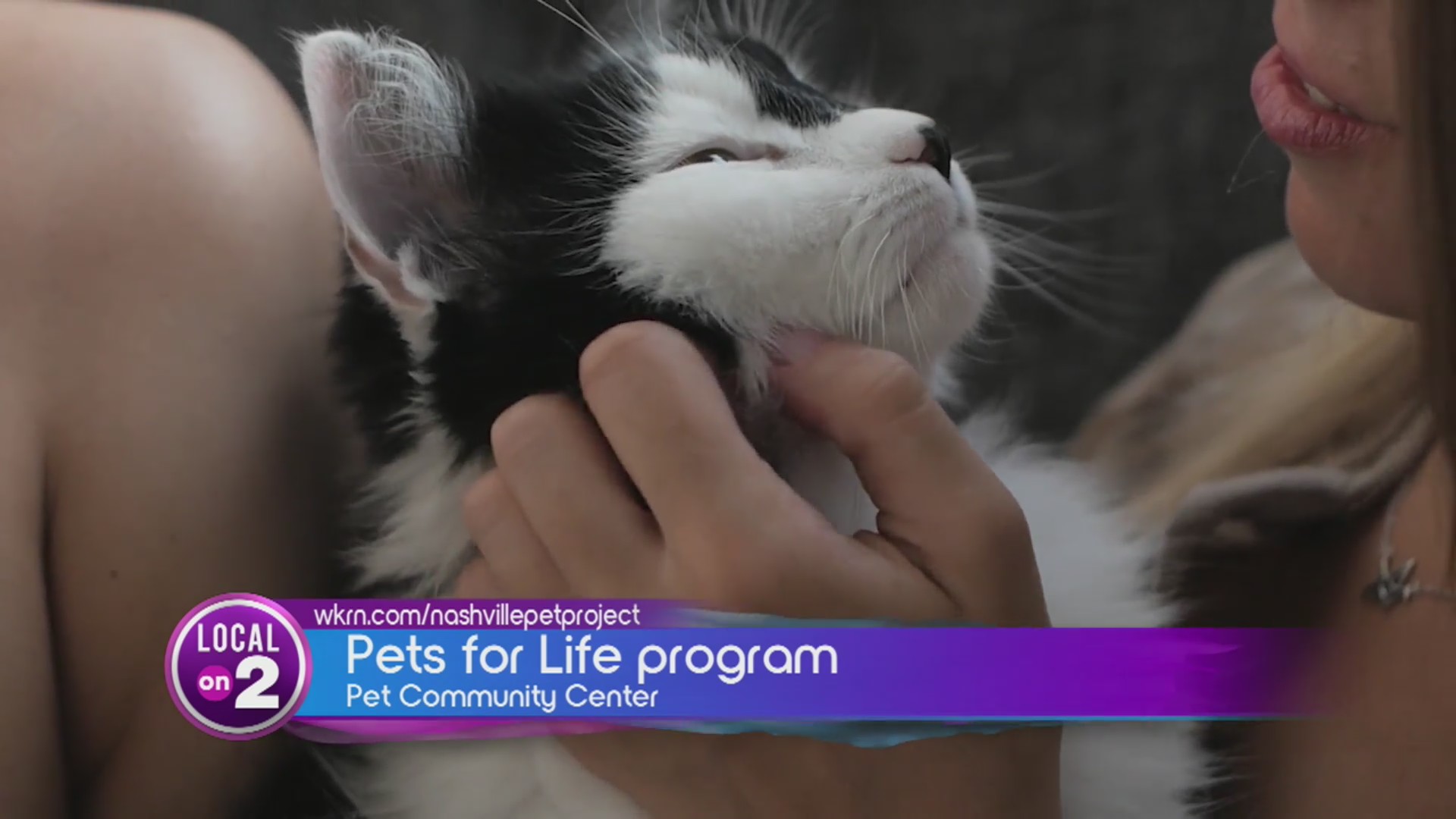 The Nashville Pet Project takes over WKRN – WKRN News 2
