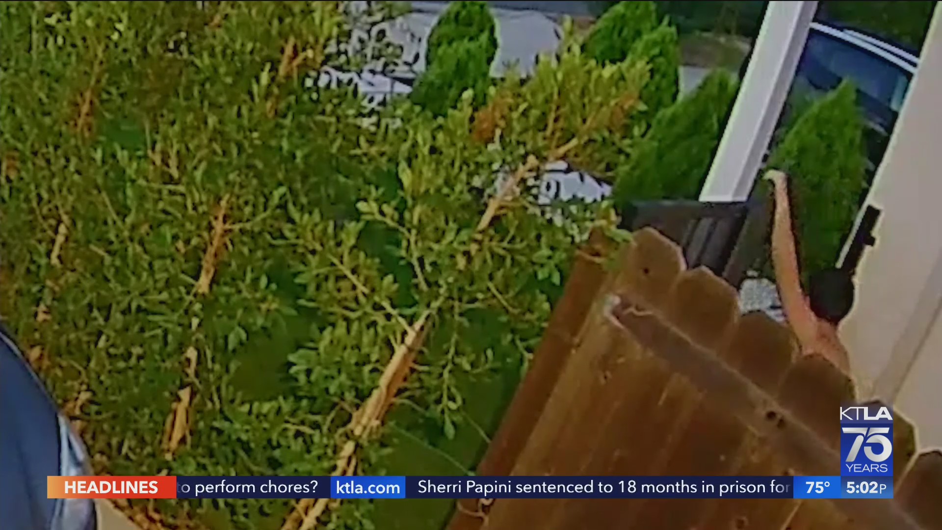 Suspects sought in deadly Encino shooting KTLA