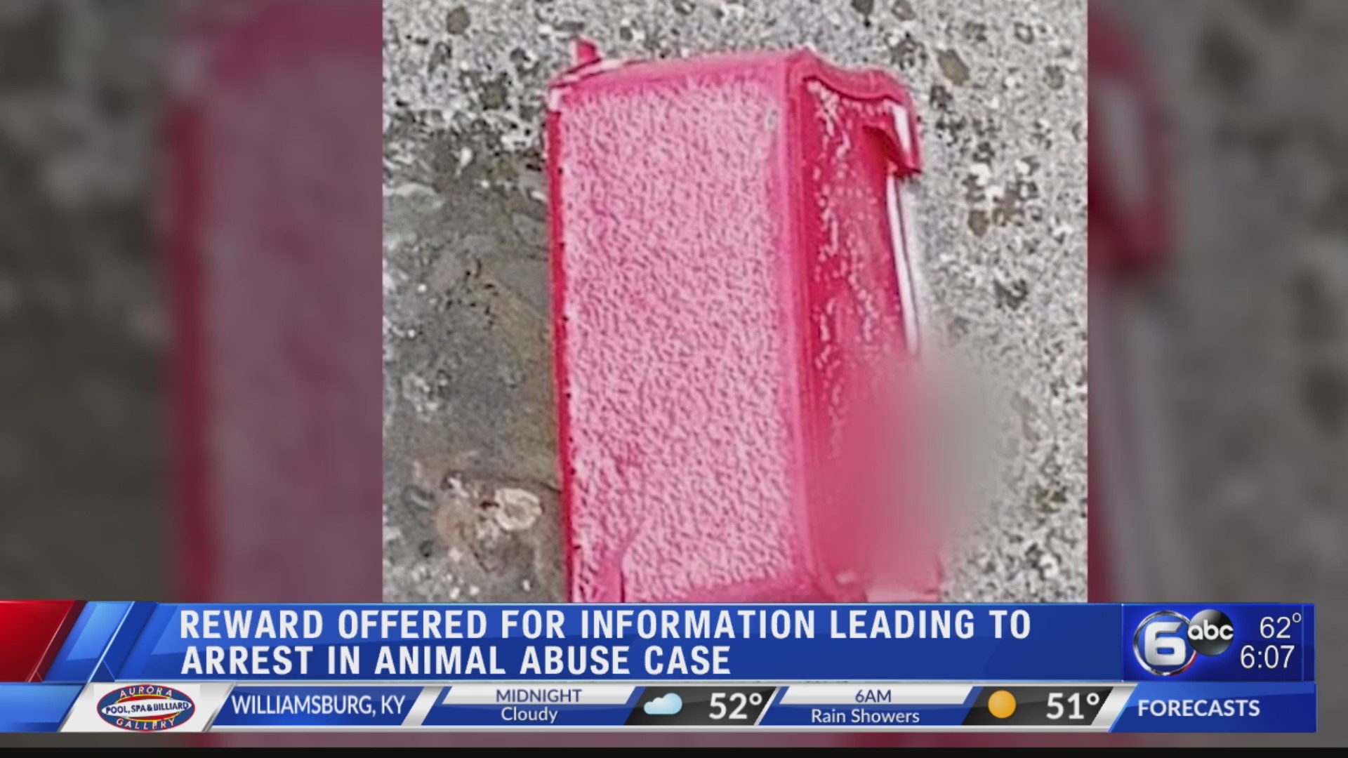 Reward offered for information leading to arrest in animal abuse case ...
