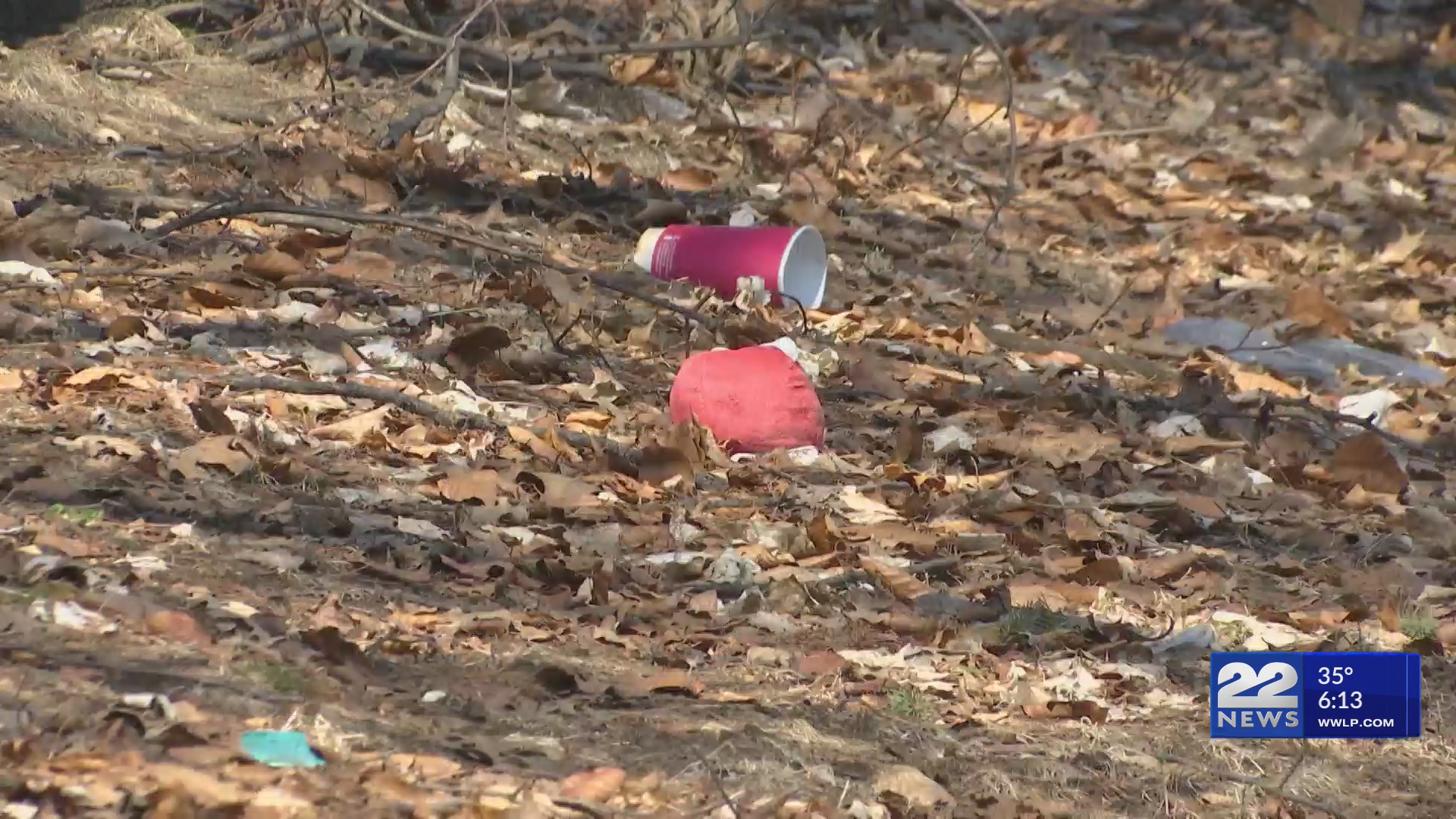 Is there a fine for littering in Massachusetts? WWLP