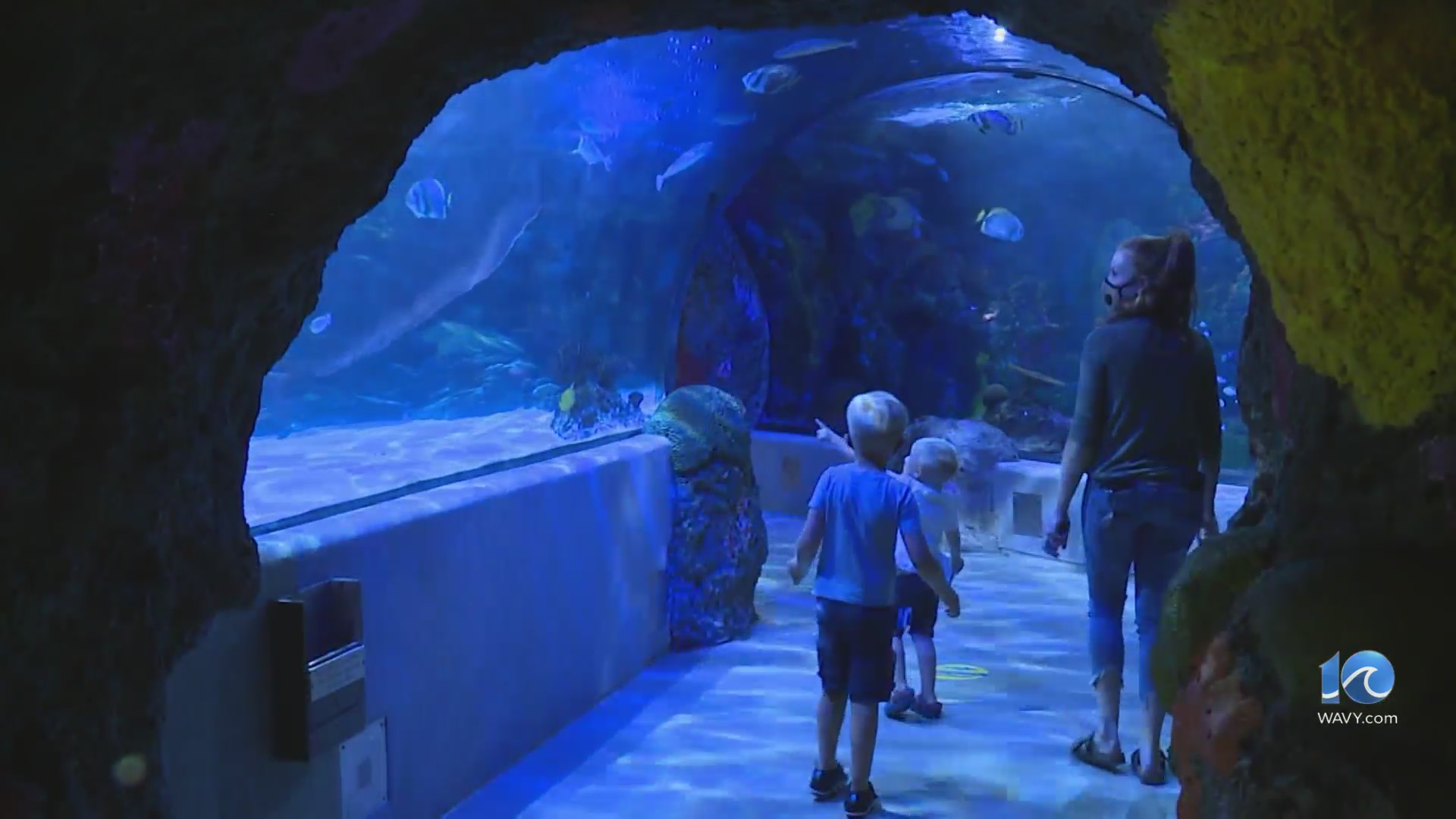 Aquarium foundation says renovations can be done for $50-$75M, instead