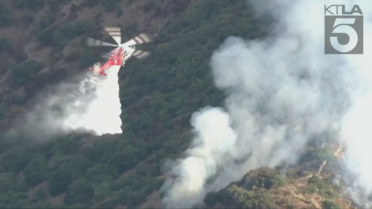 Crews fighting small brush fire in Hollywood Hills – KTLA