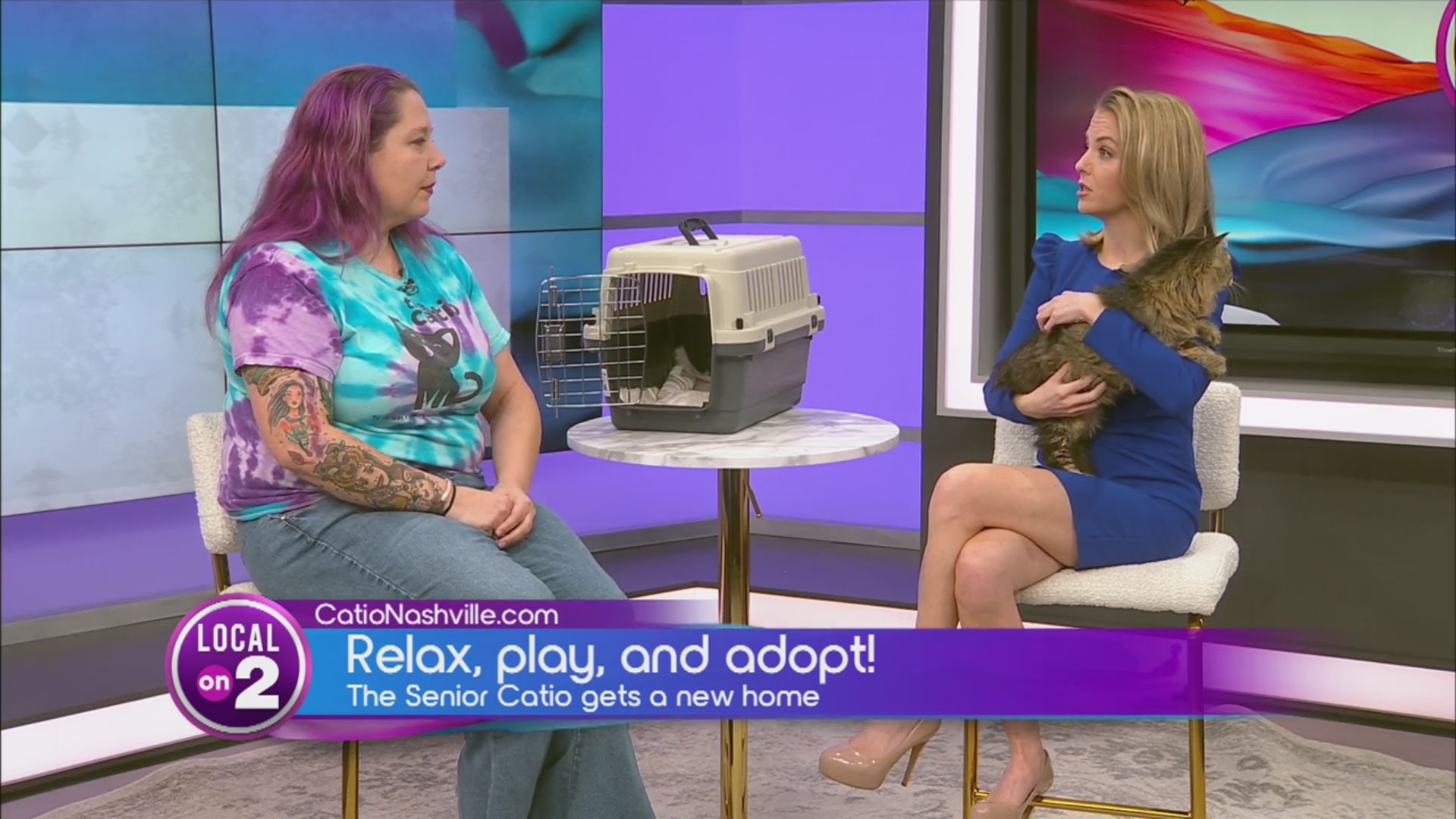 The Senior Catio is back in action! – WKRN News 2
