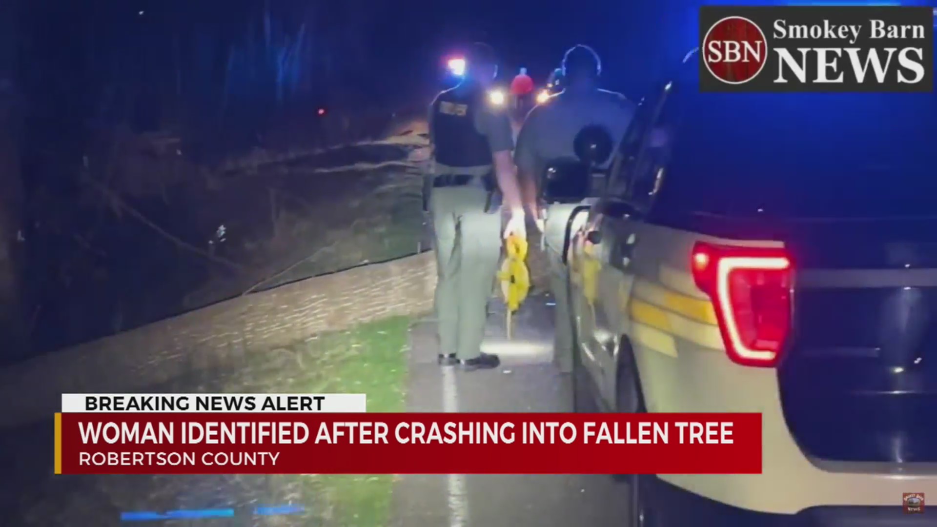Woman dead after crashing into fallen tree – WKRN News 2