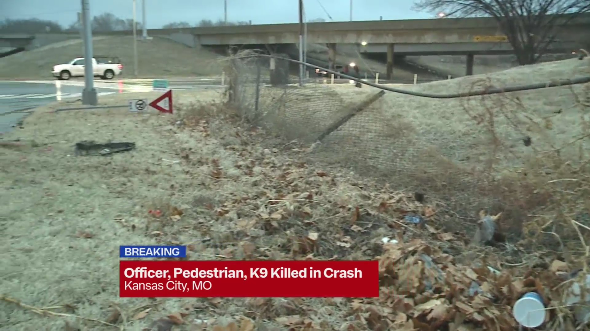 KCPD officer, K9, pedestrian die in crash – FOX 4 Kansas City WDAF-TV ...