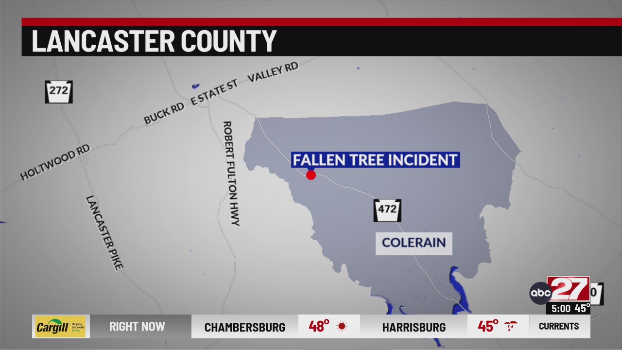 Two hospitalized after large tree falls on vehicle in Lancaster County ...