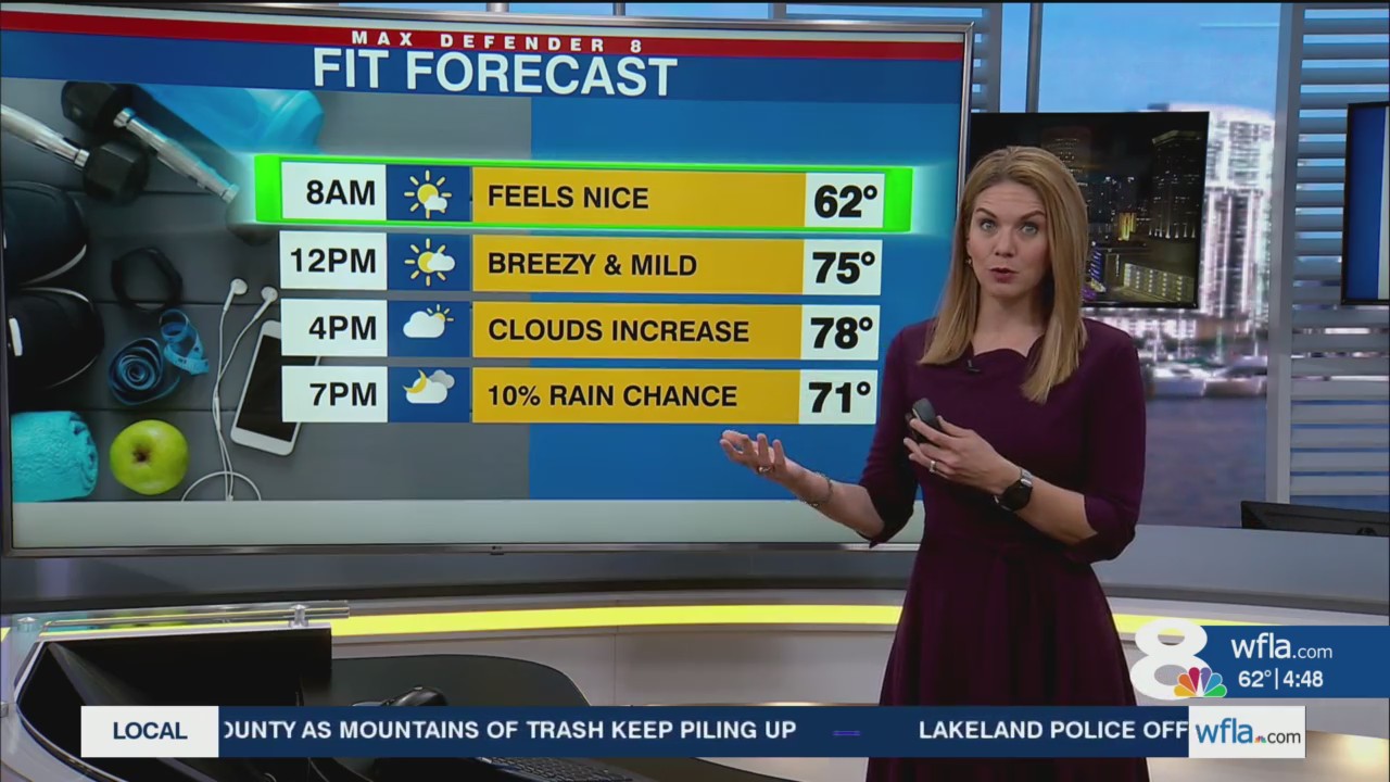 Warm and breezy ahead of a weak front – WFLA
