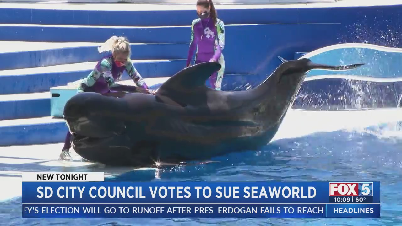 SD City Council Votes To Sue SeaWorld – FOX 5 San Diego & KUSI News