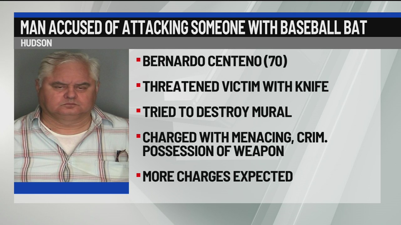 Hudson man accused of attacking someone with baseball bat – NEWS10 ABC