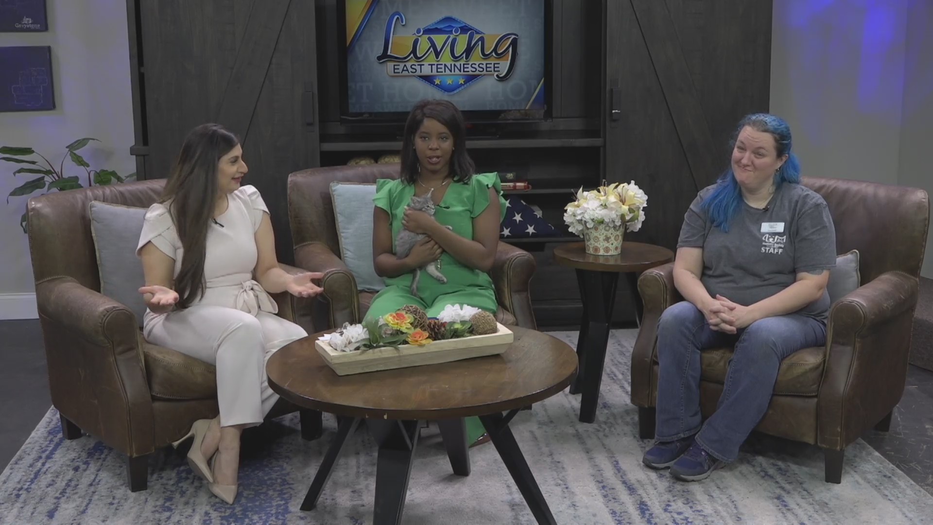 Living East Tennessee on 2/6 WATE 6 On Your Side