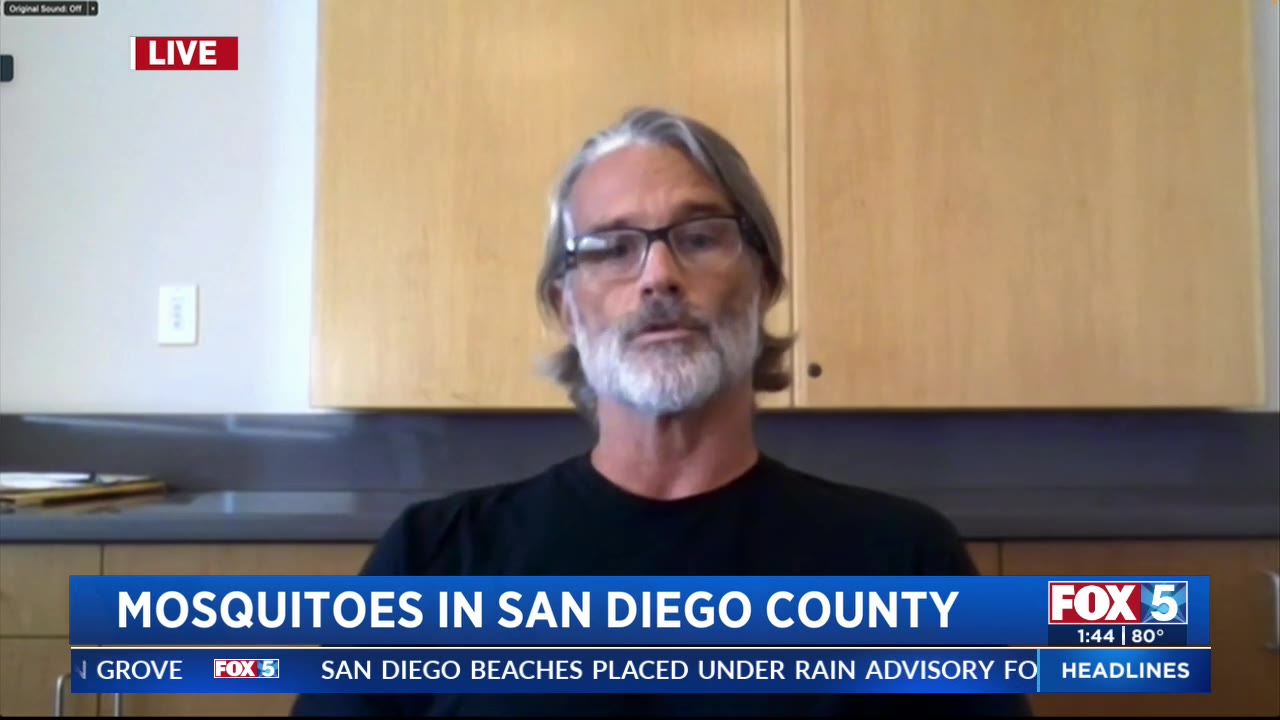 Mosquitoes in San Diego County FOX 5 San Diego