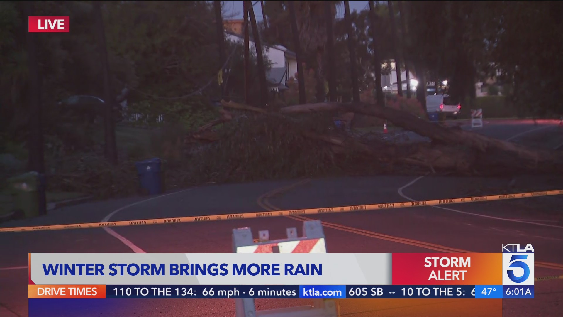 Overnight wind and rain topples more trees – KTLA