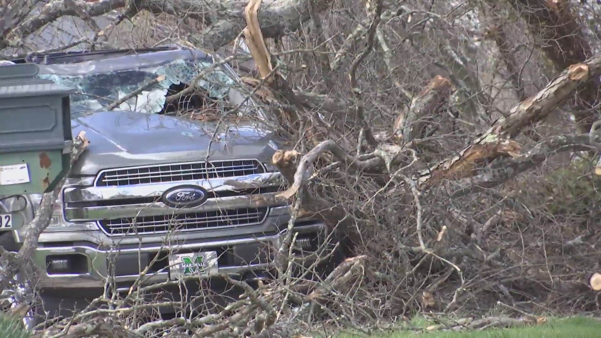 Man dies after tree falls on vehicle in Cabell County, West Virginia ...