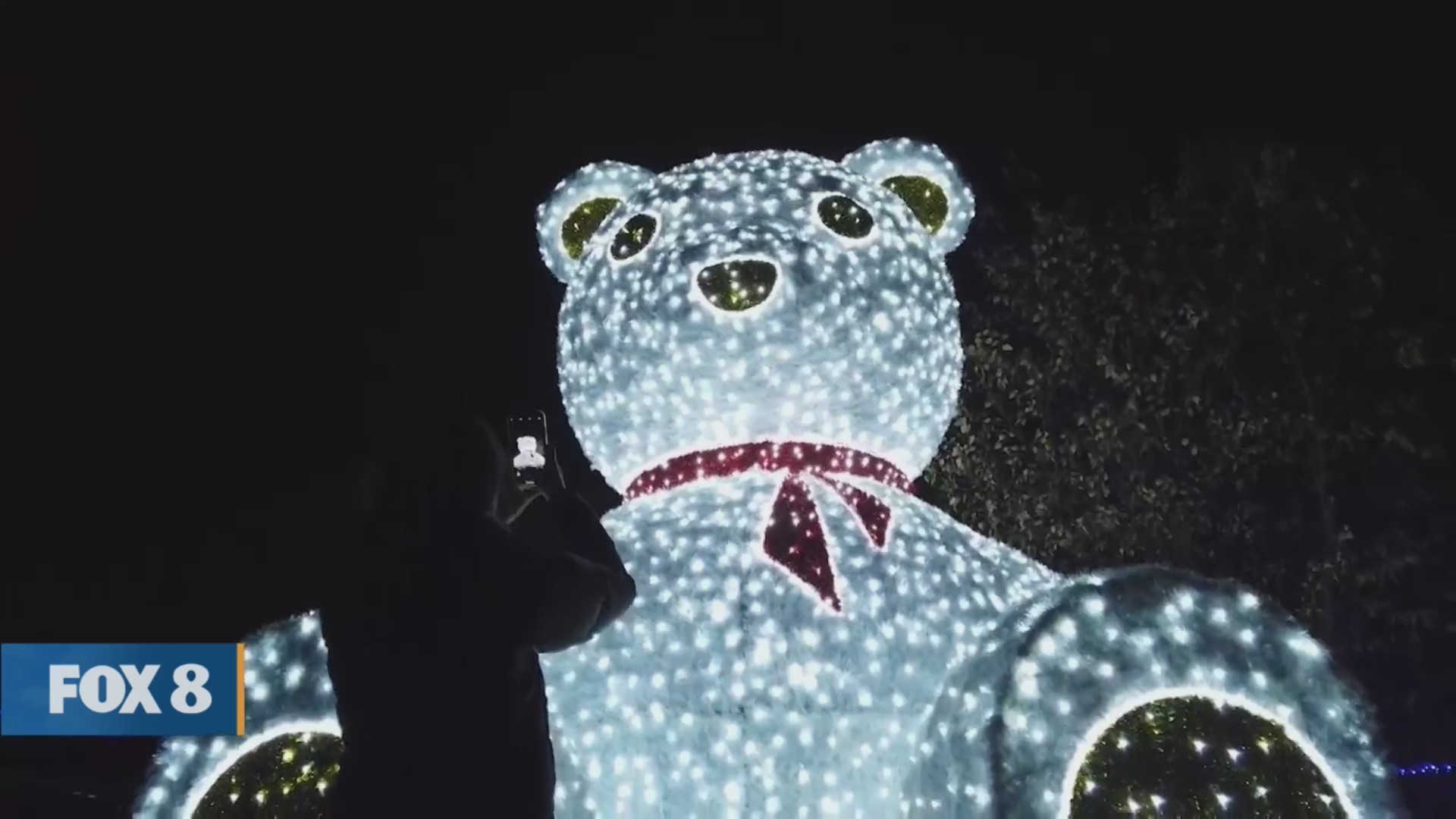 New Day Cleveland Wild Winter Lights Fox 8 Cleveland WJW