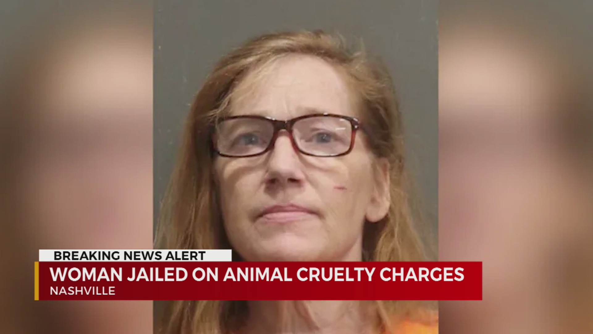 Woman jailed on animal cruelty charges – WKRN News 2