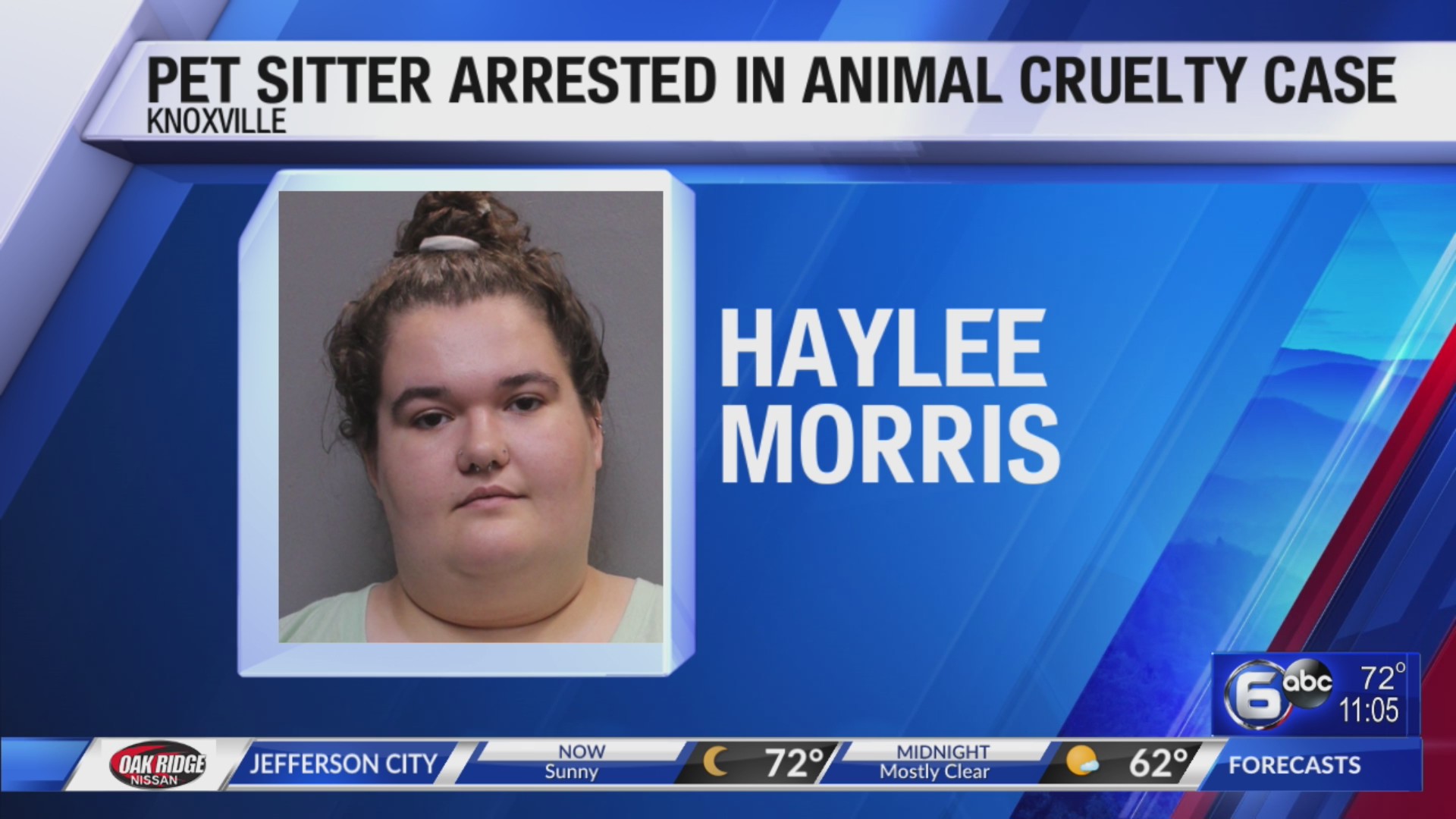 Pet Sitter arrested in Animal Cruelty Case – WATE 6 On Your Side