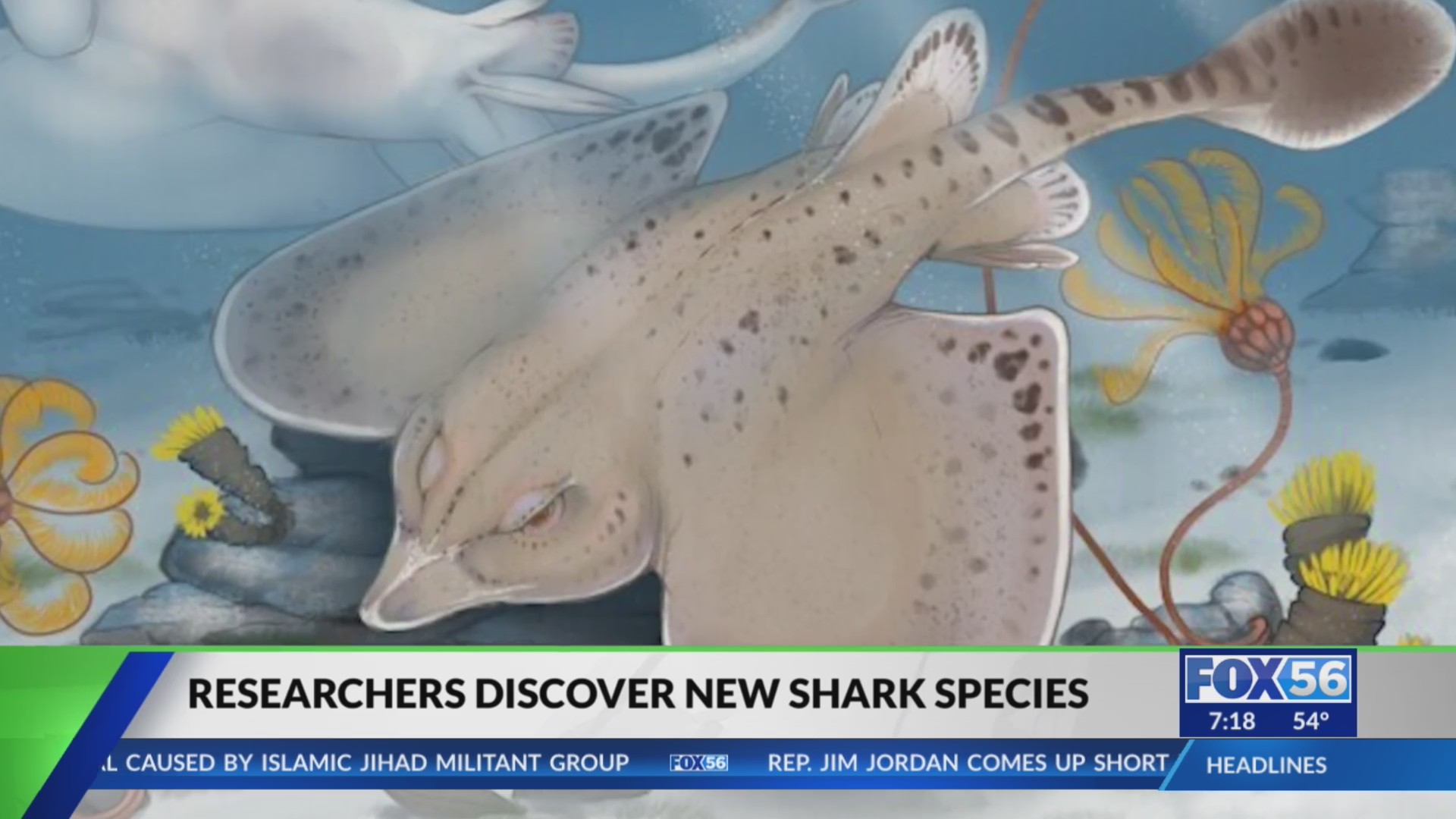 New species of shark discovered in Mammoth Cave KSNTV
