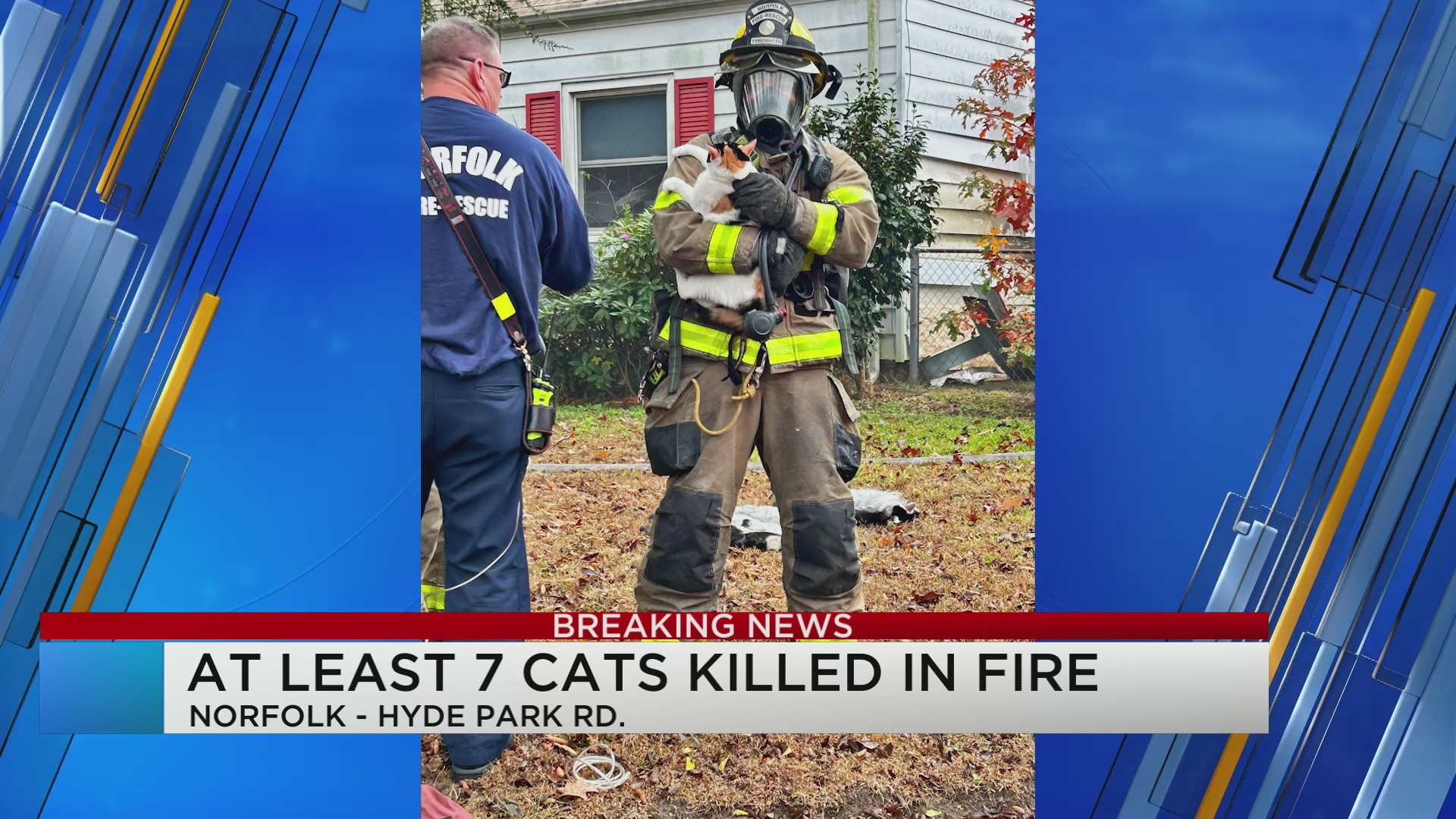 Multiple cats dead following fire in Norfolk Sunday morning – WAVY.com