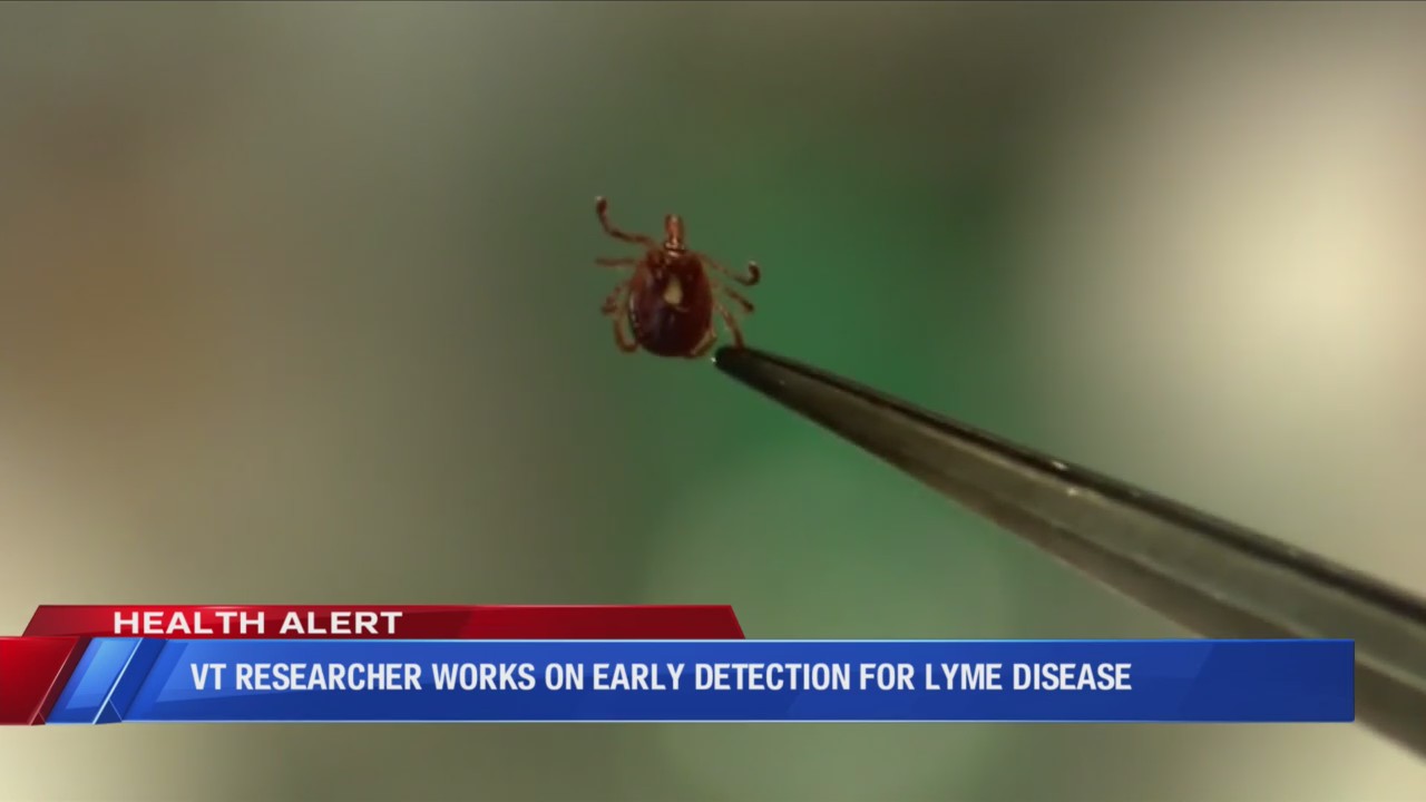 Virginia Tech researcher works on early detection for Lyme Disease – WFXRtv