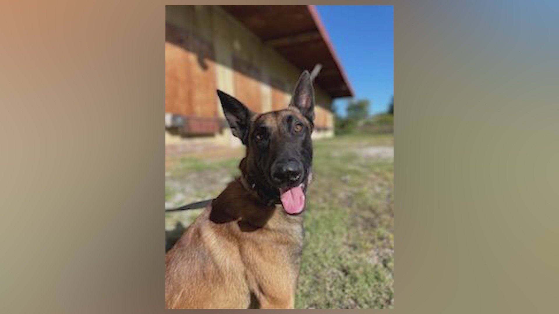 “Zeke” joins the Duenweg Police Department KSNF/KODE