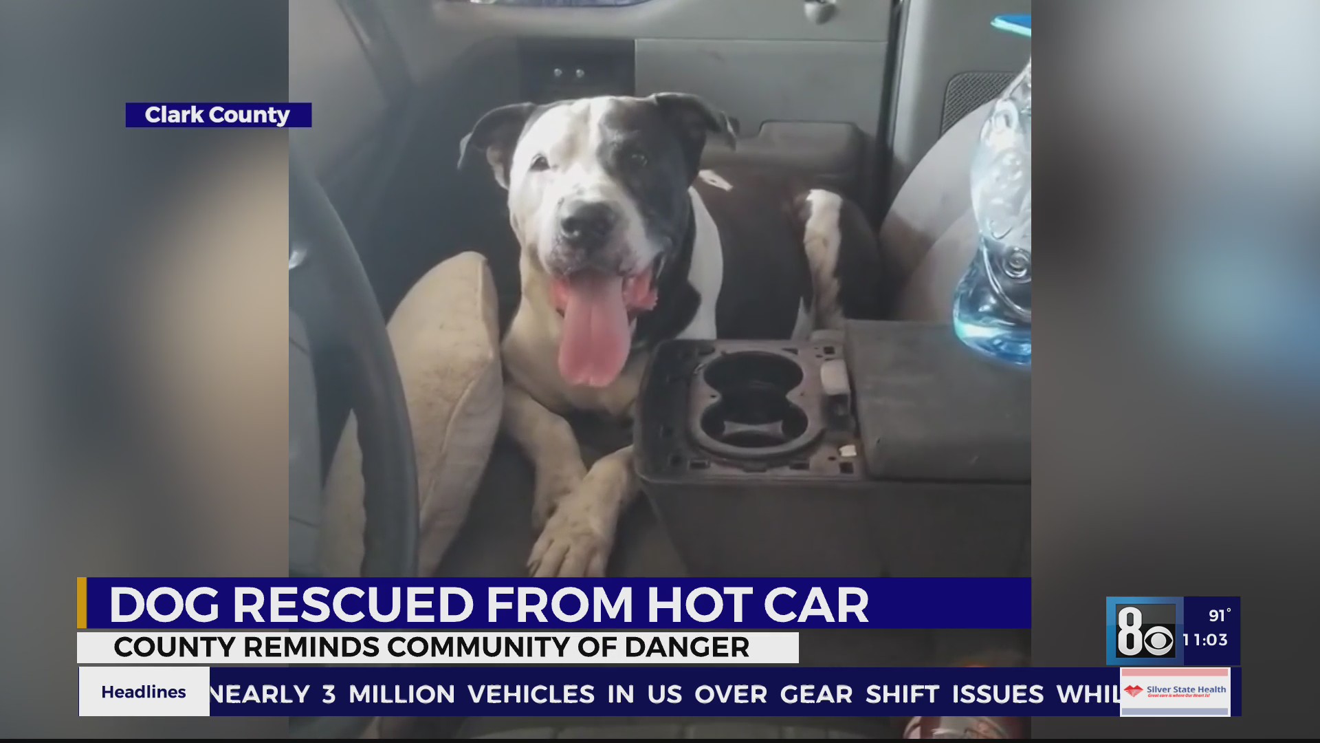 Dog rescued from hot car KLAS