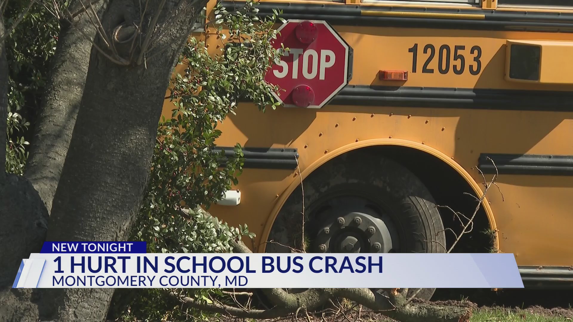 Montgomery County school bus involved in multi-vehicle crash – DC News ...