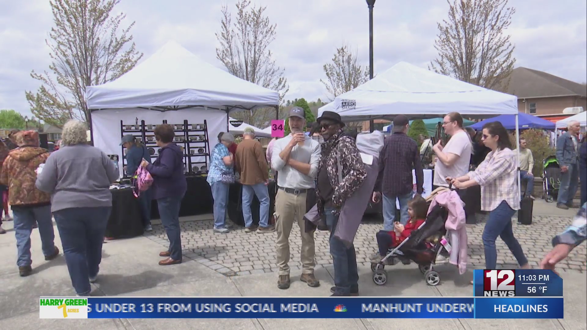 Elkins Ramp and Rail Festival