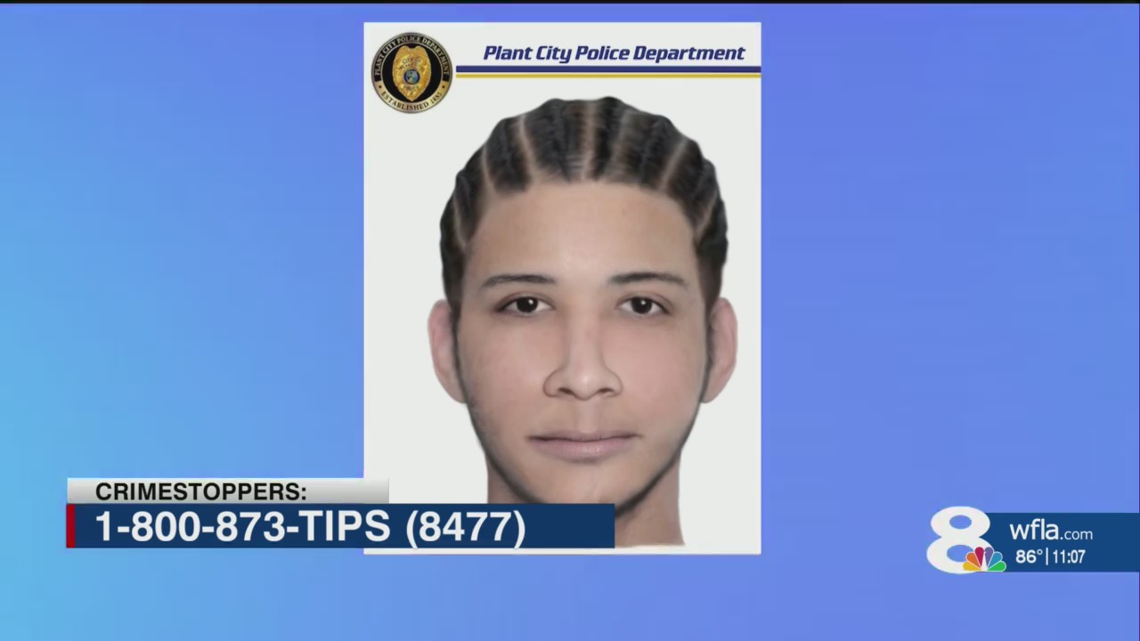 Deadly I4 road rage shooting Plant City police release sketch of