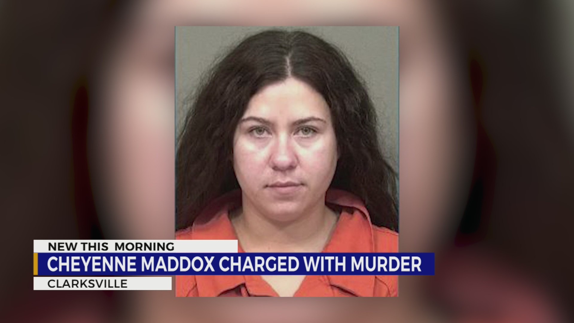 Clarksville mother indicted for son’s murder – WKRN News 2