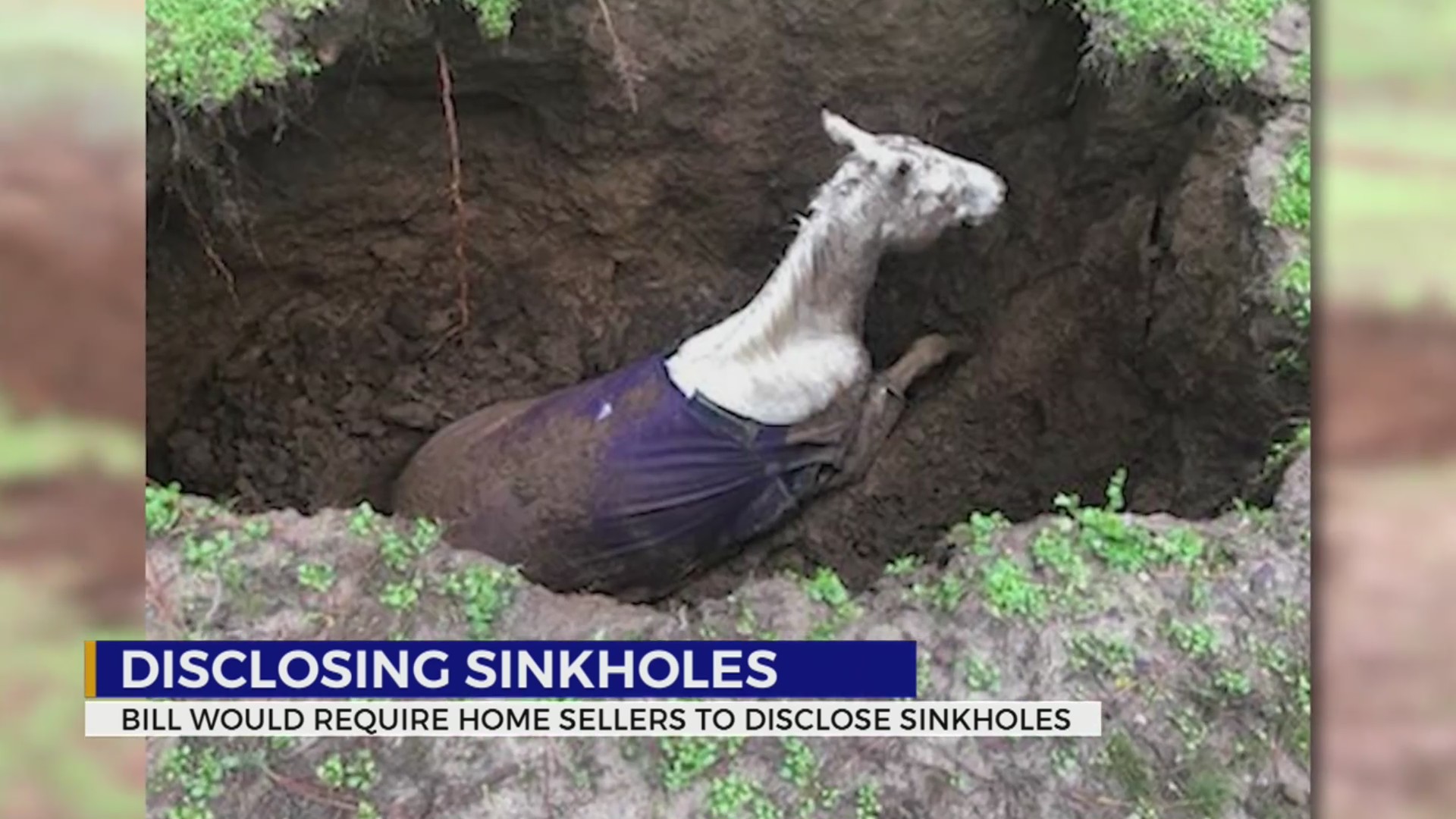 TN lawmaker looks to strengthen sinkhole disclosure form when buying a