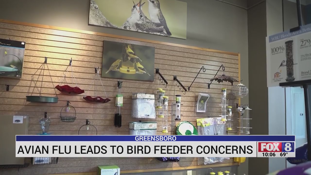 Avian flu leads to bird feeder concerns in Greensboro FOX8 WGHP