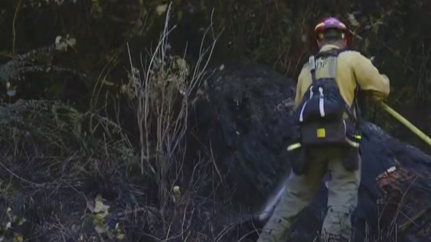 Brush fires break out in Banks, Yamhill