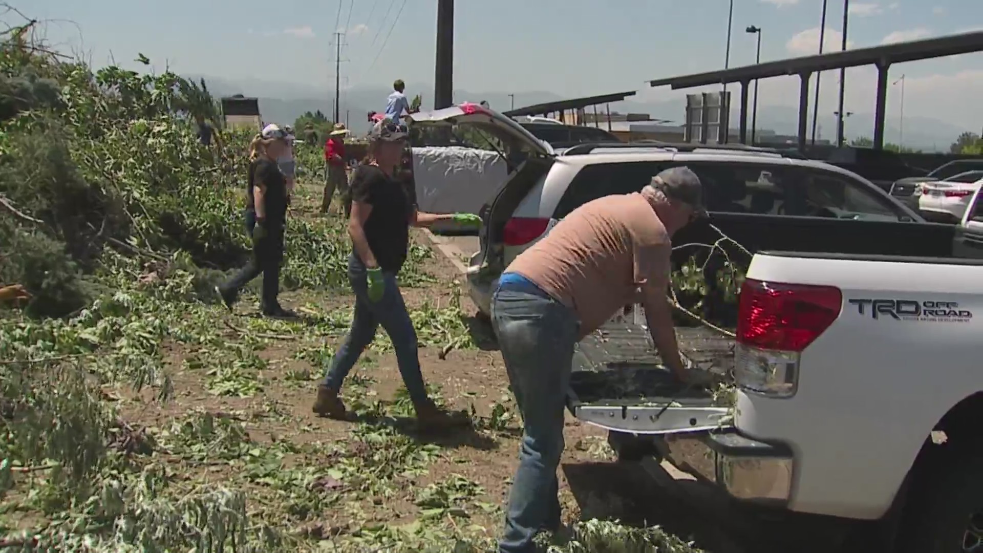 What to do with tree branches after Highlands Ranch tornado – FOX31 Denver