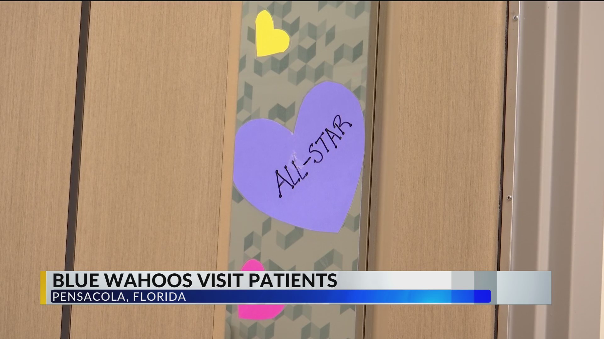 Blue Wahoos players, mascot visit pediatric patients at HCA Florida