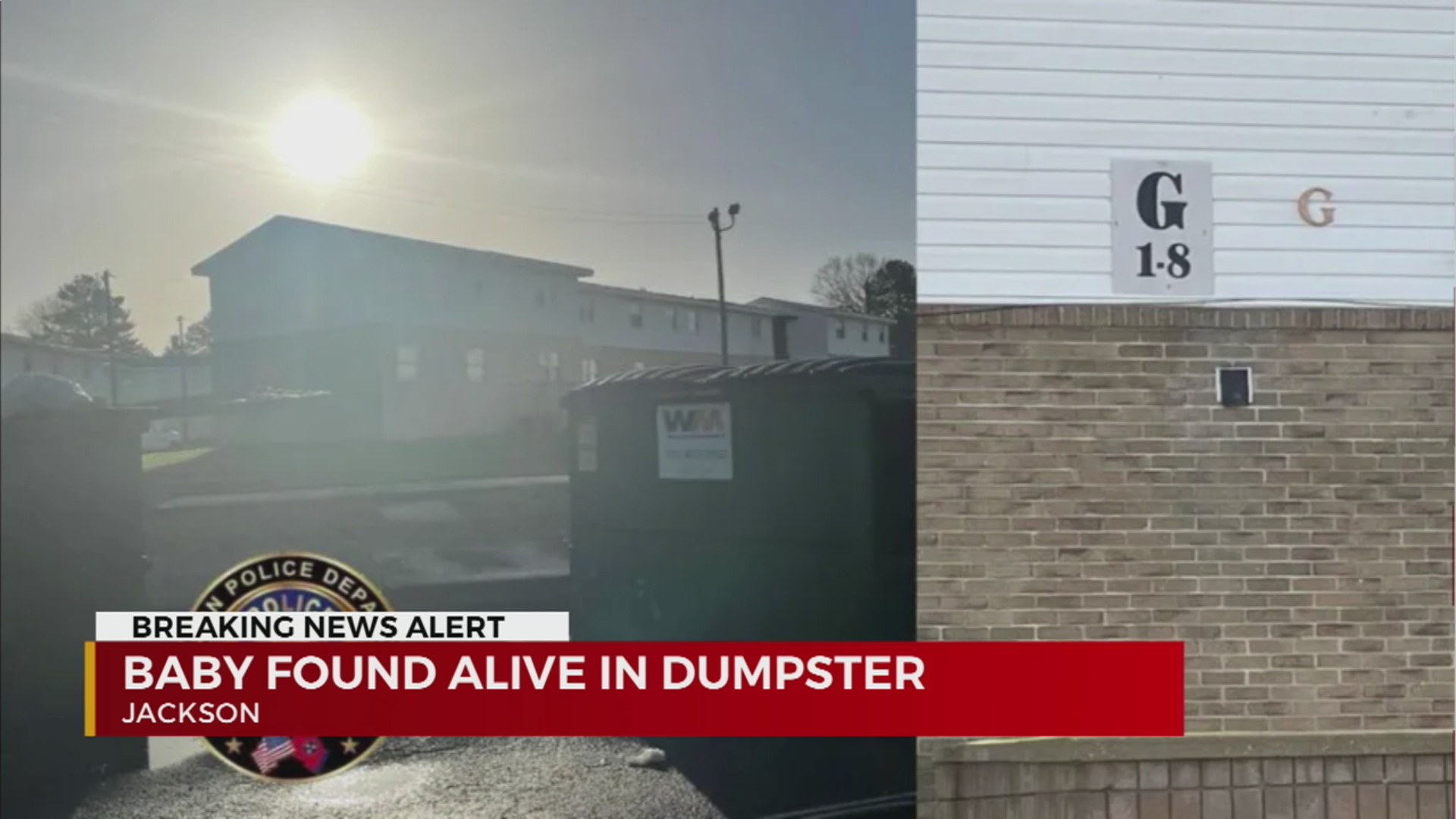 Baby found in dumpster; Jackson police look for parents – WKRN News 2