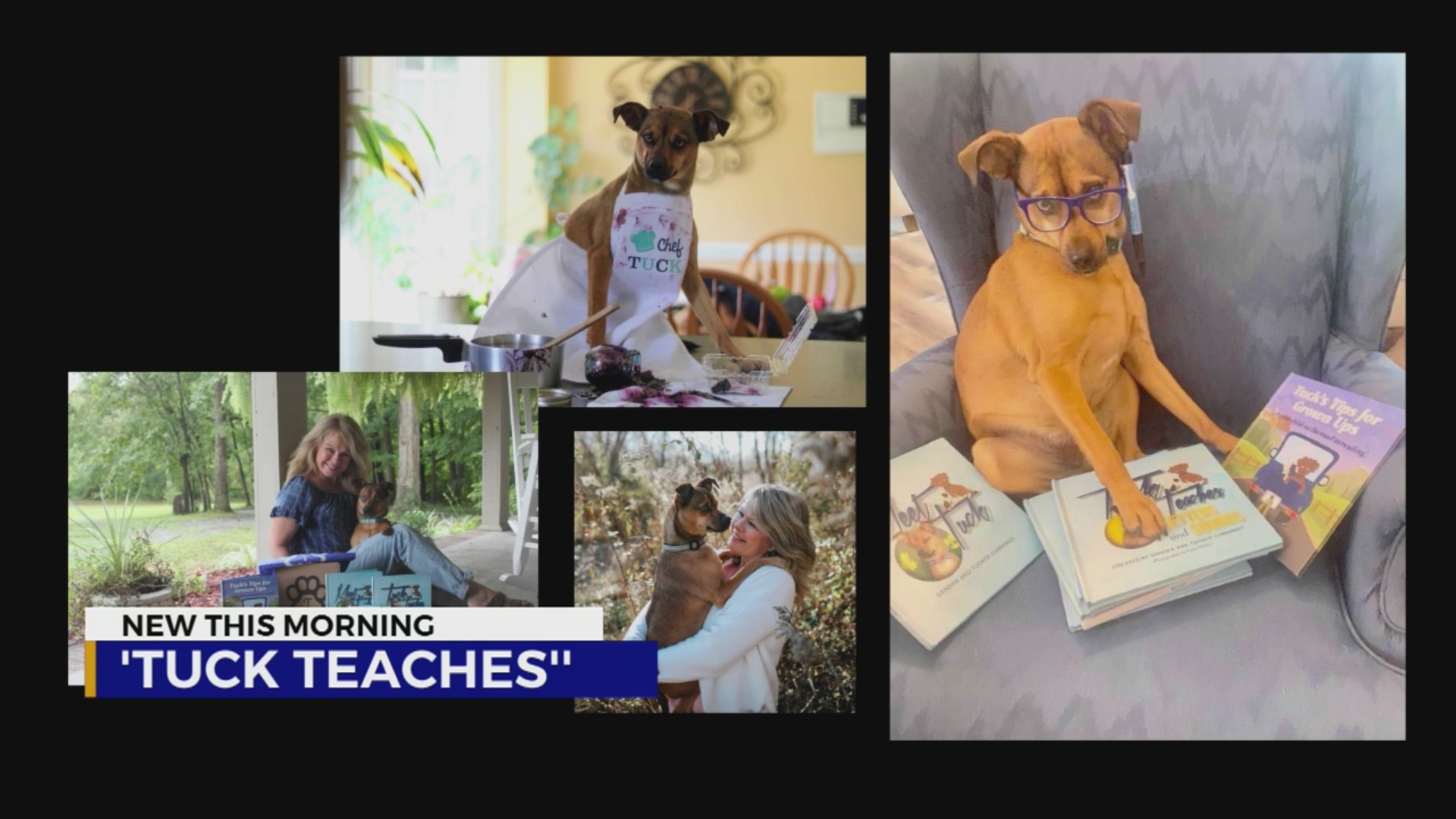 Teacher helps kids learn to read with help from dog – WKRN News 2
