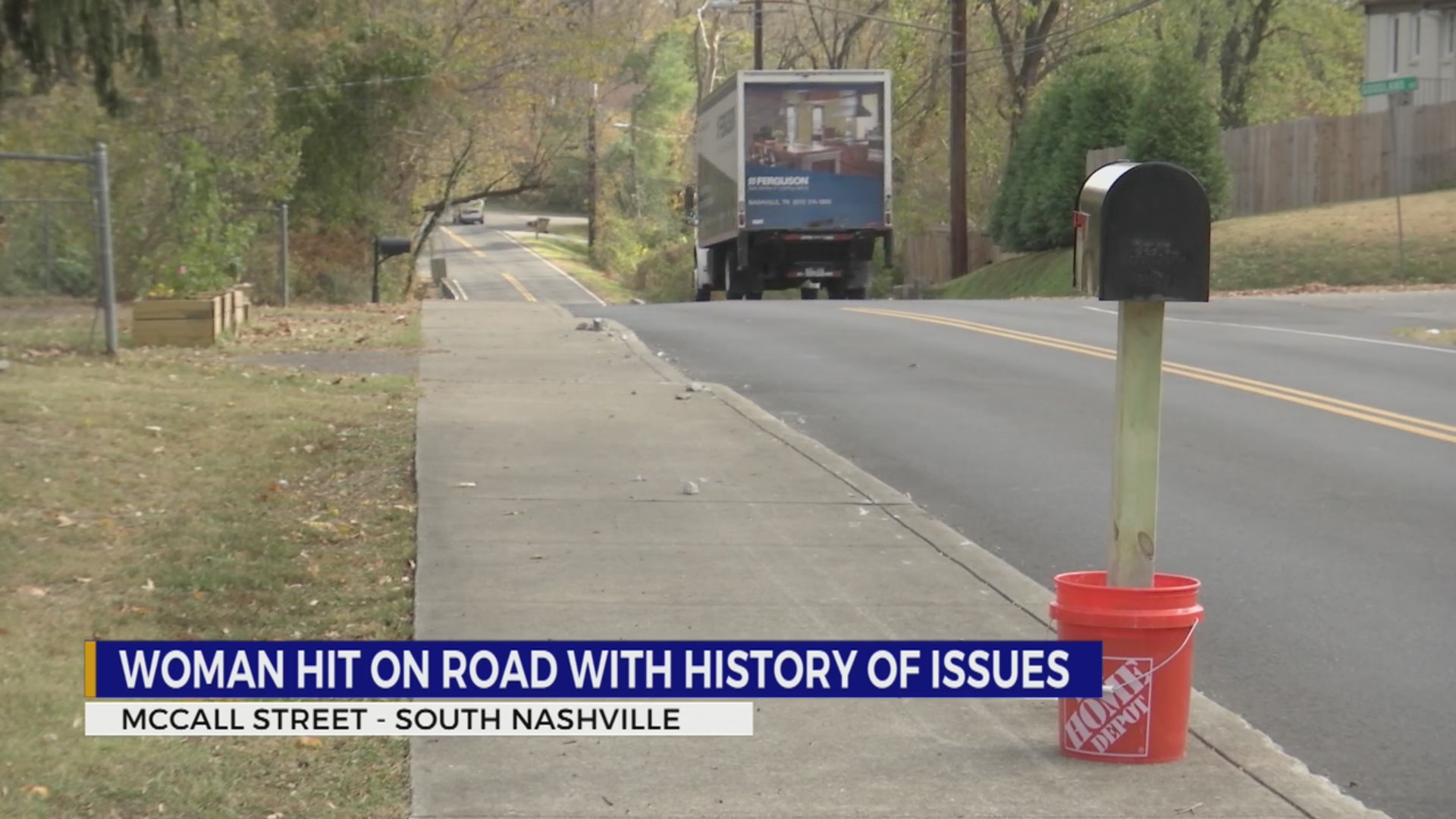 Woman hit on road with history of issues – WKRN News 2