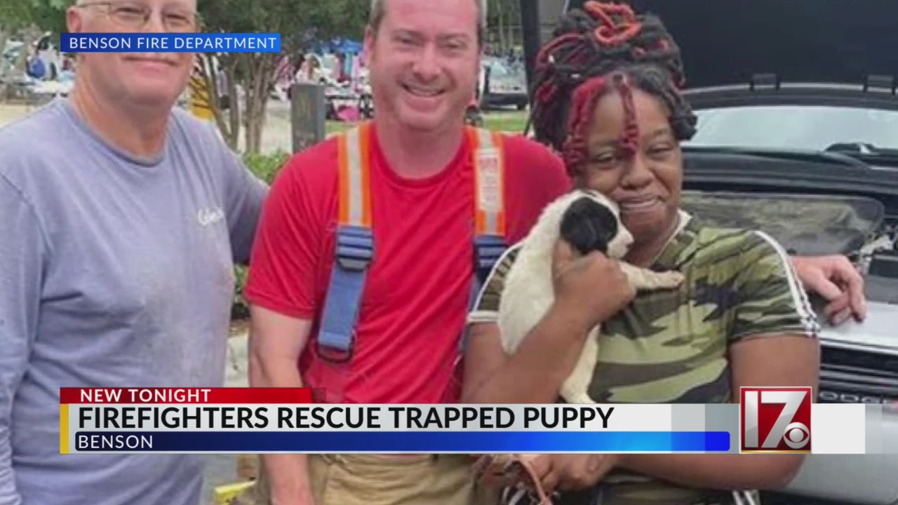 Fire crews rescue dog trapped in SUV’s engine compartment at Benson ...