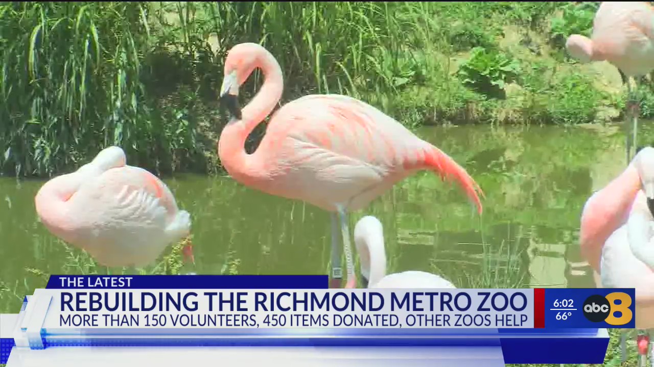 Rebuilding The Richmond Metro Zoo WRIC ABC 8News