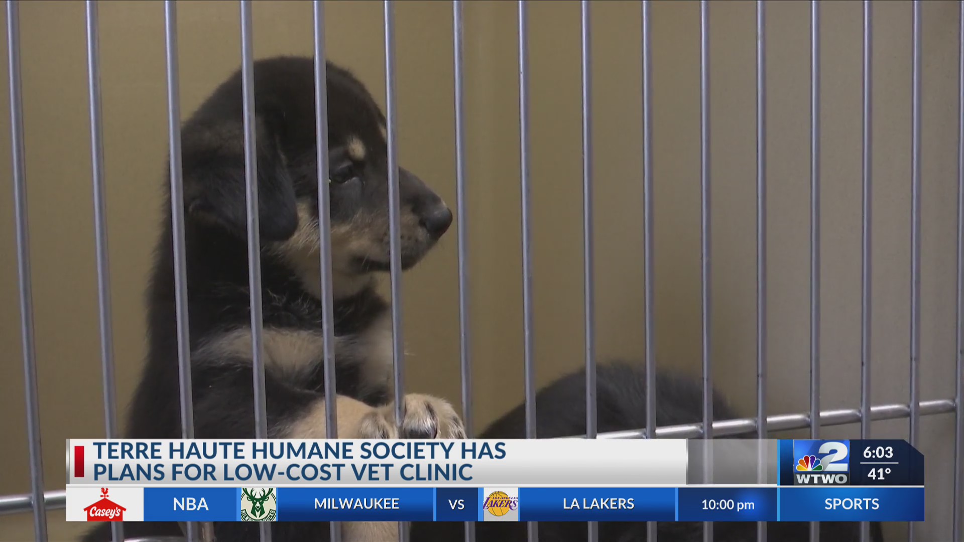 TH Humane Society will build a low cost vet clinic