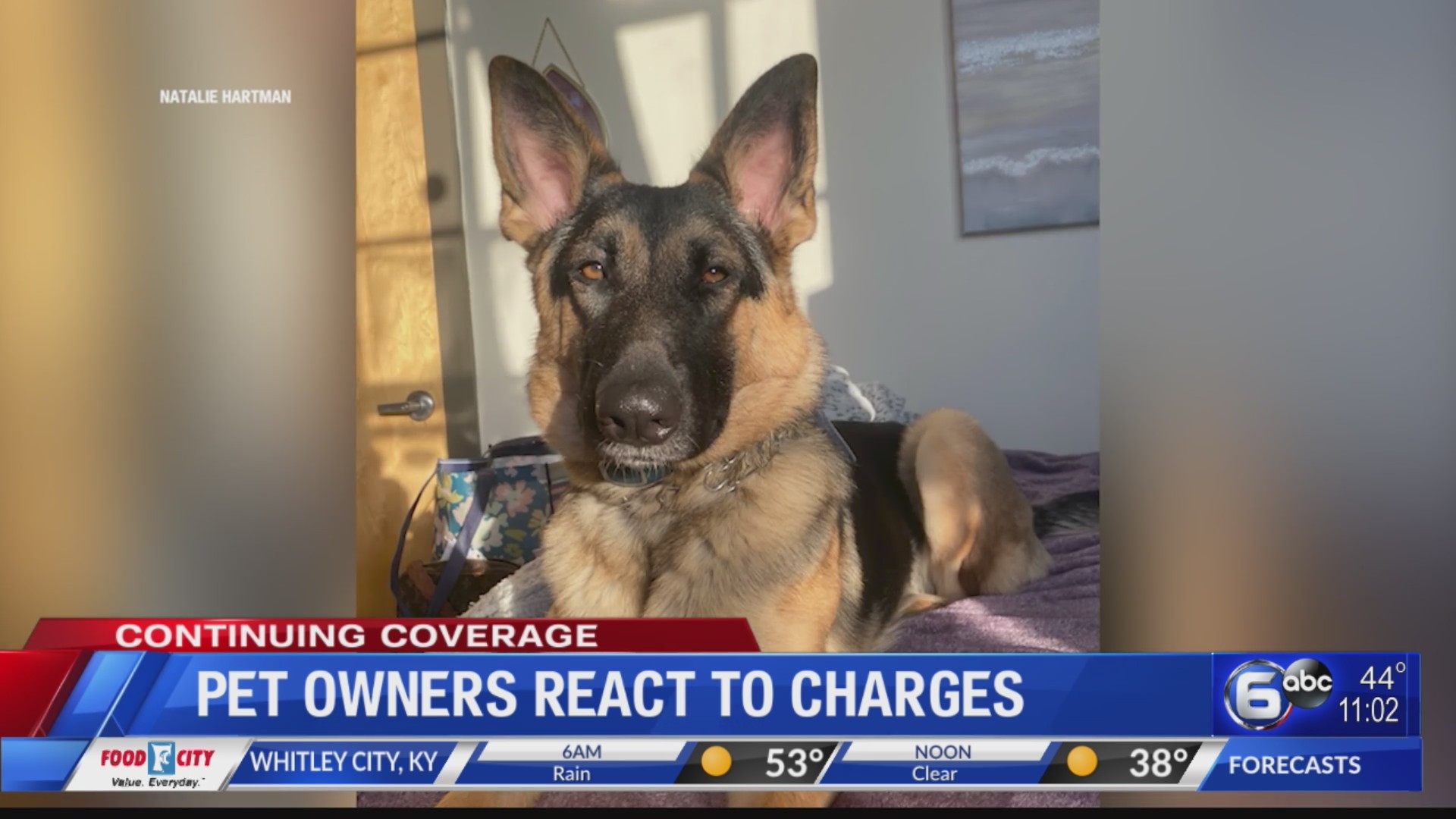 Pet owners react to charges – WATE 6 On Your Side