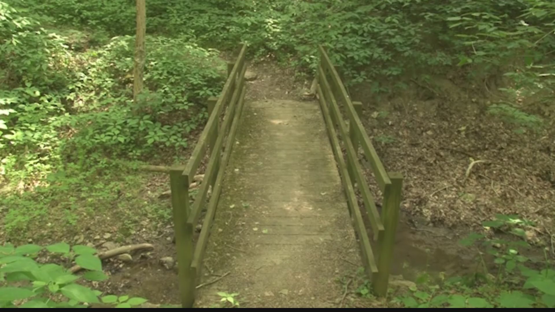 Bethany forest added to West Virginia trail system WTRF