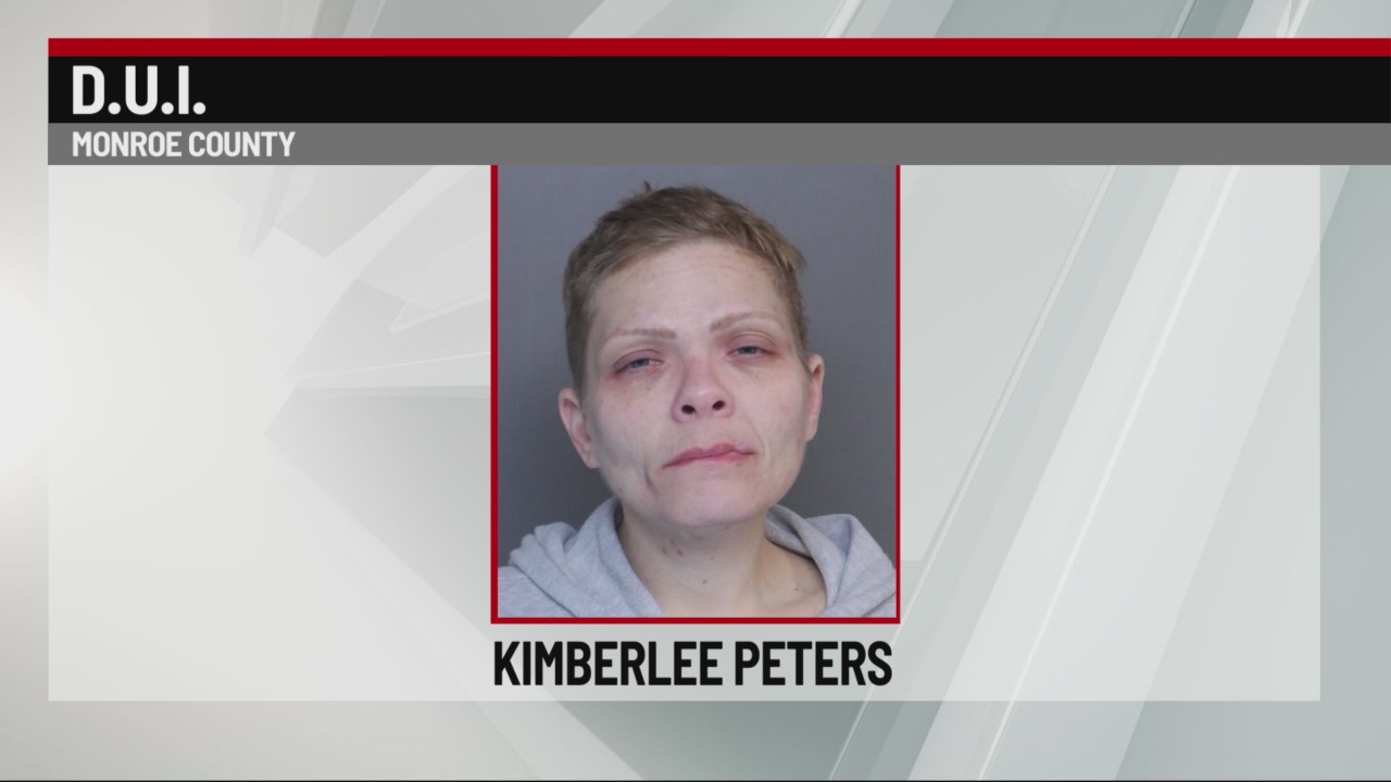 Woman accused of DUI with 3 children in car – 28/22 News