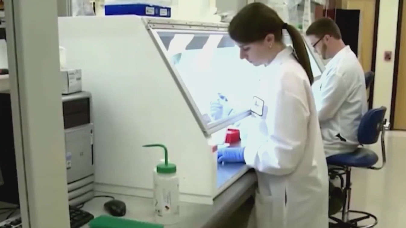 Police use forensic genetic genealogy to solve crimes | Morning in ...