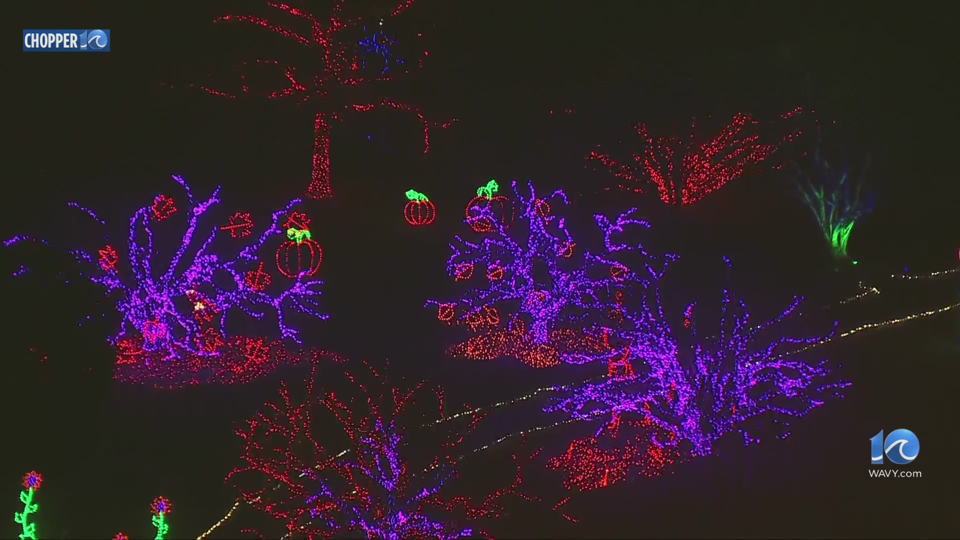 Norfolk Botanical Garden lights shine bright