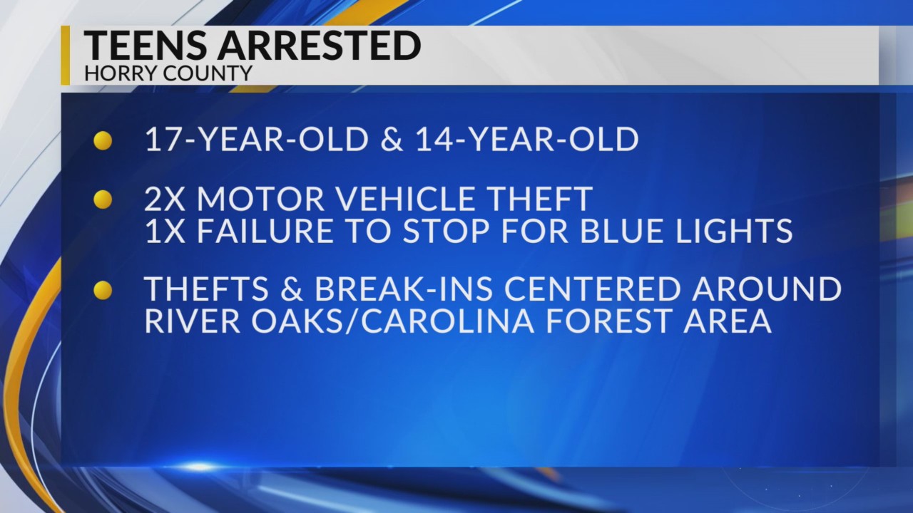 2 teens charged after car thefts in Horry County – WBTW